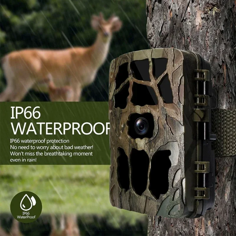 H982 IP66 impermeable 4K infra - Trail Camera Infrared reseña y precio